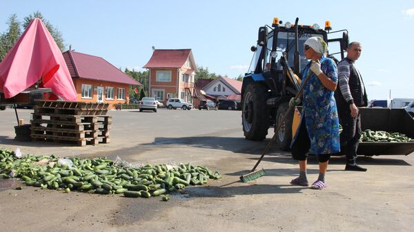 Выращивание и продажа овощей в Ольшанах - Sputnik Беларусь