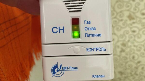 Датчик контроля концентрации газа - Sputnik Беларусь