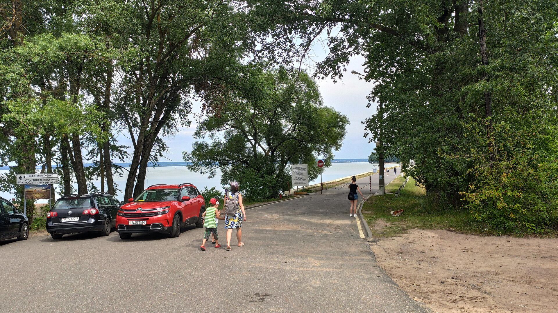 Люди устремляются на пляжи Минского моря, несмотря на позеленевшую воду - Sputnik Беларусь, 1920, 29.07.2021