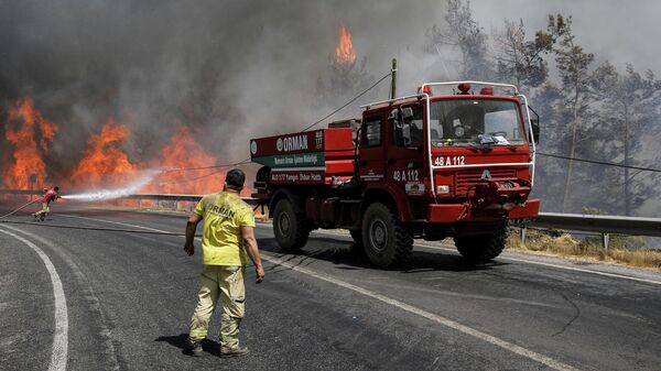 Пожарные пытаются тушить лесной пожар недалеко от Мармариса, 1 августа 2021 года - Sputnik Беларусь