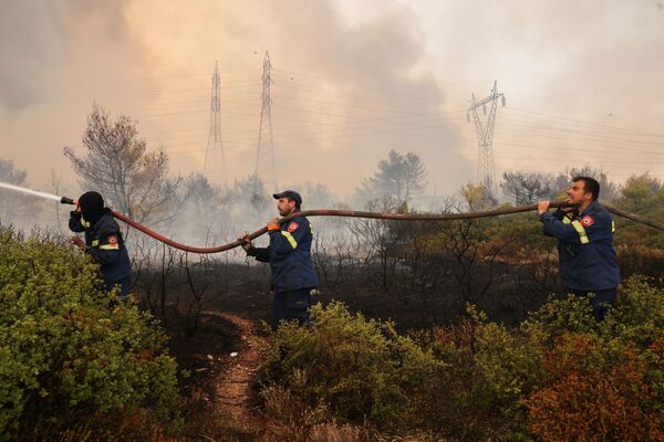 Более 500 пожарных боролись всю ночь, чтобы сдержать этот самый большой лесной пожар из тех, что вспыхнули в Греции за последние 24 часа. - Sputnik Беларусь