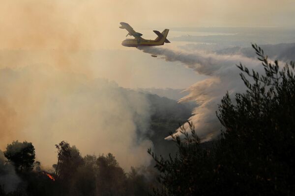 Всего в Греции за сутки произошло 80 лесных пожаров. - Sputnik Беларусь