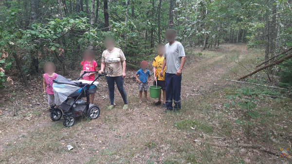 Сразу 7 человек: семья с детьми потерялась в лесу под Рогачевом - Sputnik Беларусь