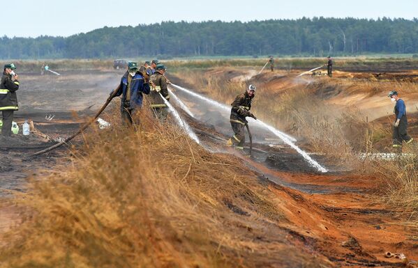 Тушение пожара на торфянике в Петриковском районе - Sputnik Беларусь