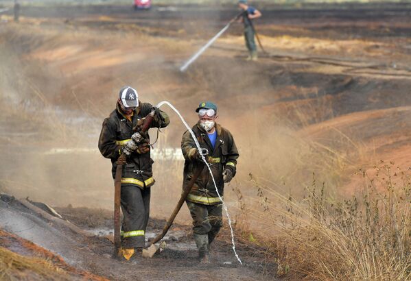 Нынешний пожар в Петриковском районе стал самым крупным в республике в нынешнем году. - Sputnik Беларусь