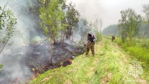 Тушение лесных пожаров в Якутии - Sputnik Беларусь