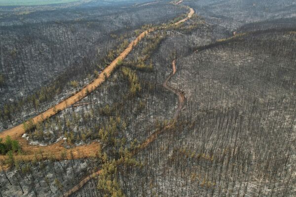 Огнем уничтожено 16 155 гектаров леса в районе Миласа, 13 600 в Мармарисе, 21 131 в Каваклыдере, 2011 в Сейдикемере, 515 в Ментеше и 222 в Бодруме. - Sputnik Беларусь