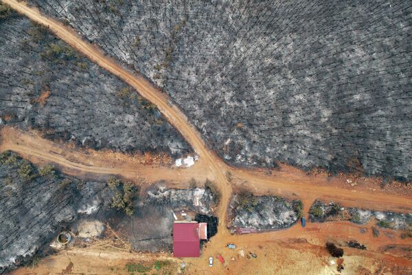 На месте выгоревших лесов никакое строительство вестись не будет, опровергают заявления оппозиции турецкие власти. - Sputnik Беларусь