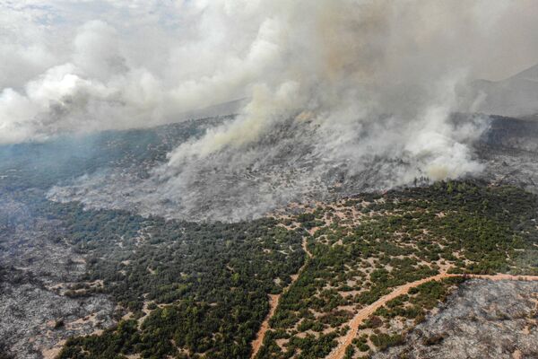 Все лесные пожары в Турции, кроме двух в провинции Мугла, потушены. - Sputnik Беларусь