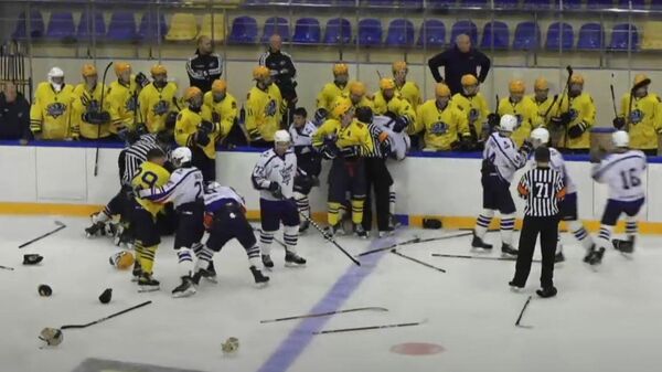 В матче российских хоккейных команд произошла массовая драка (видео) - Sputnik Беларусь