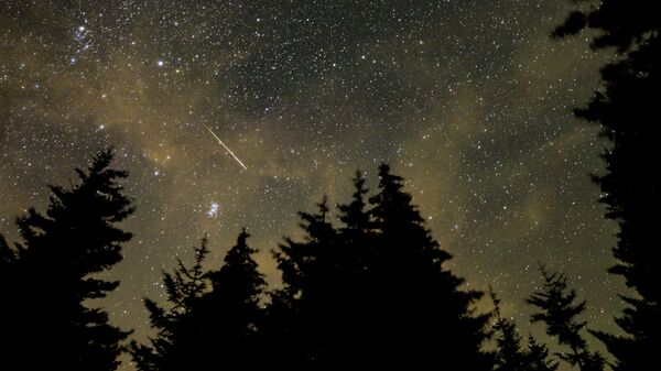 Ранний метеорный поток Персеиды, наблюдаемый в Спрус-Ноб, Западная Вирджиния - Sputnik Беларусь