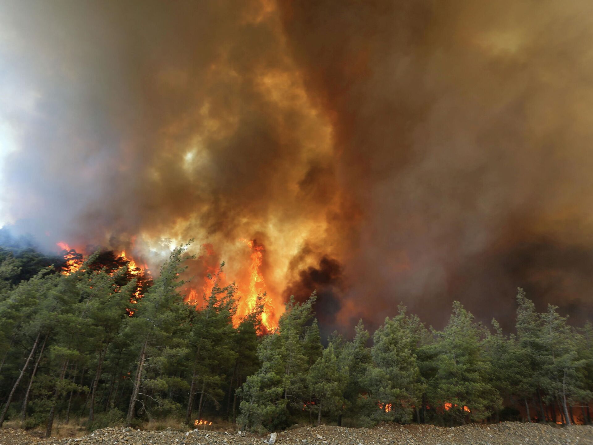 Лесные пожары в России 2021