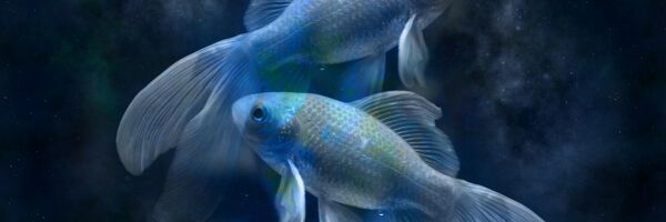 Знак зодиака Рыбы - Sputnik Беларусь