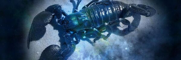 Знак зодиака Рак - Sputnik Беларусь