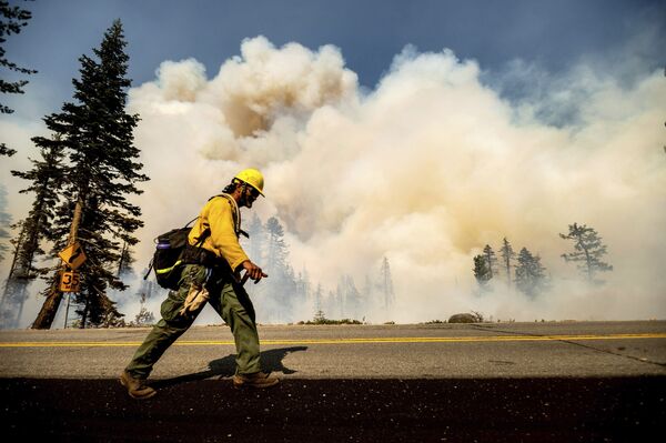 Крупнейший лесной пожар в штате Калифорния назван &quot;Дикси&quot; по имени дороги, где он начался. - Sputnik Беларусь