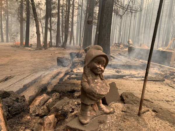 Уцелевшая керамическая фигурка возле дома, который сгорел вдоль Норт-Арм-роуд в округе Плумас. - Sputnik Беларусь