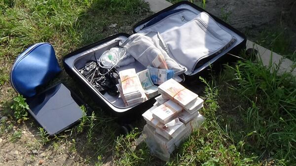 Россиянин чуть не лишился чемодана с $204 тыс. - Sputnik Беларусь