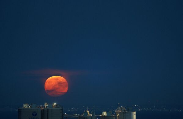 Полная Луна поднимается над Токийским заливом. - Sputnik Беларусь