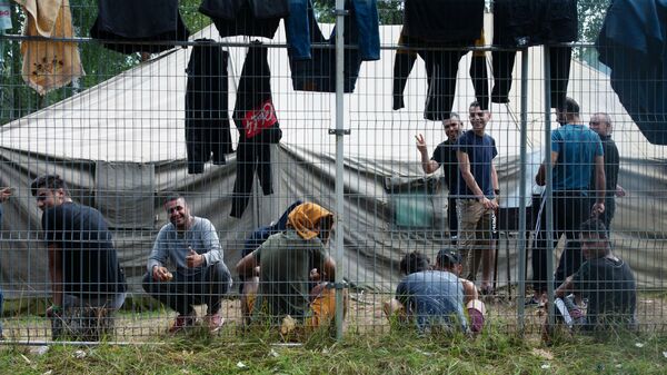 Лагерь мигрантов на литовско-белорусской границе - Sputnik Беларусь