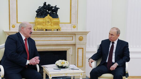 Будет политическое решение: депутат Думбадзе о встрече Путина с Лукашенко - Sputnik Беларусь