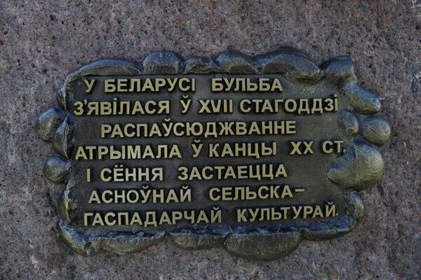 Памятник картошке установили в Беларуси - Sputnik Беларусь