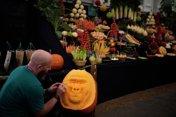 Карвер Кристиан Рассел работает над дизайном тыквы-гориллы прямо на выставке в Челси. - Sputnik Беларусь