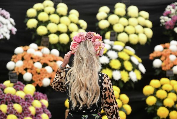 Грандиозная выставка цветов дважды переносилась в онлайн-формат: в мае 2020 и в мае 2021 года. - Sputnik Беларусь