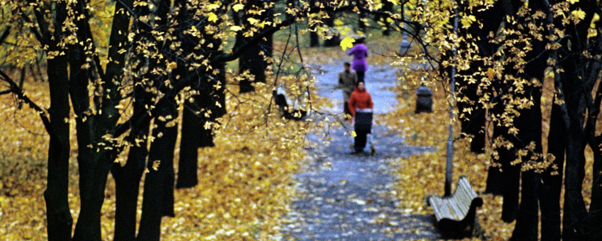 У адным з паркаў Мінска восенню, 1978 год - Sputnik Беларусь, 1920, 27.09.2021