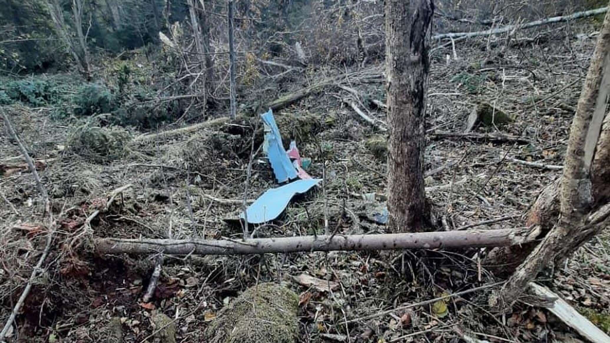 Разбился самолет в марте