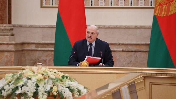 Лукашенко выступил за рассмотрение вопроса о смертной казни на референдуме  - Sputnik Беларусь