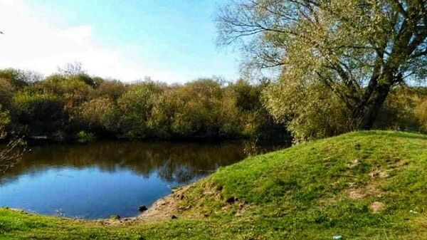 В реке Ясельда на территории Ивановского района обнаружено тело мужчины - Sputnik Беларусь