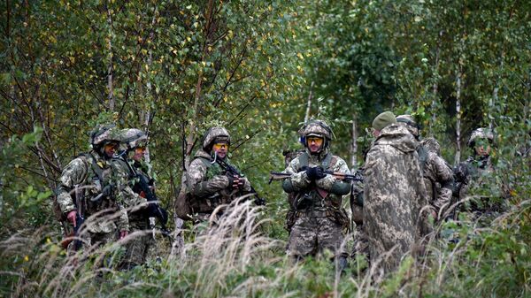 Есть угроза провокаций: что будет делать НАТО у границ Союзного государства? - Sputnik Беларусь