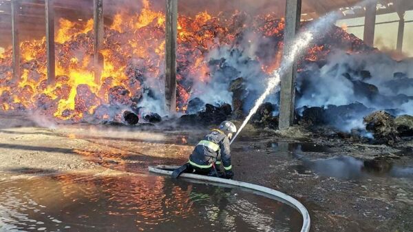 Пожар на льнозаводе в Лиозно - Sputnik Беларусь