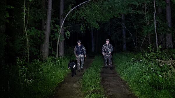 Cотрудники Государственной пограничной службы Литвы патрулируют на границе с Беларусью - Sputnik Беларусь