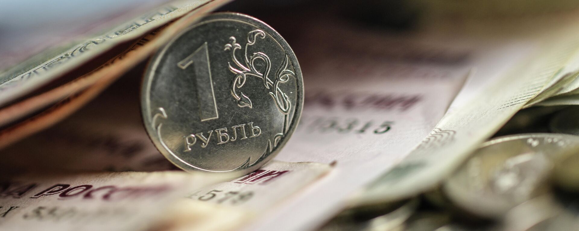 Экономист дала неожиданный ответ об общей валюте Беларуси и России  - Sputnik Беларусь, 1920, 28.10.2021