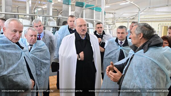 Александр Лукашенко посетил молочно-товарный комплекс Устенский в Оршанском районе - Sputnik Беларусь