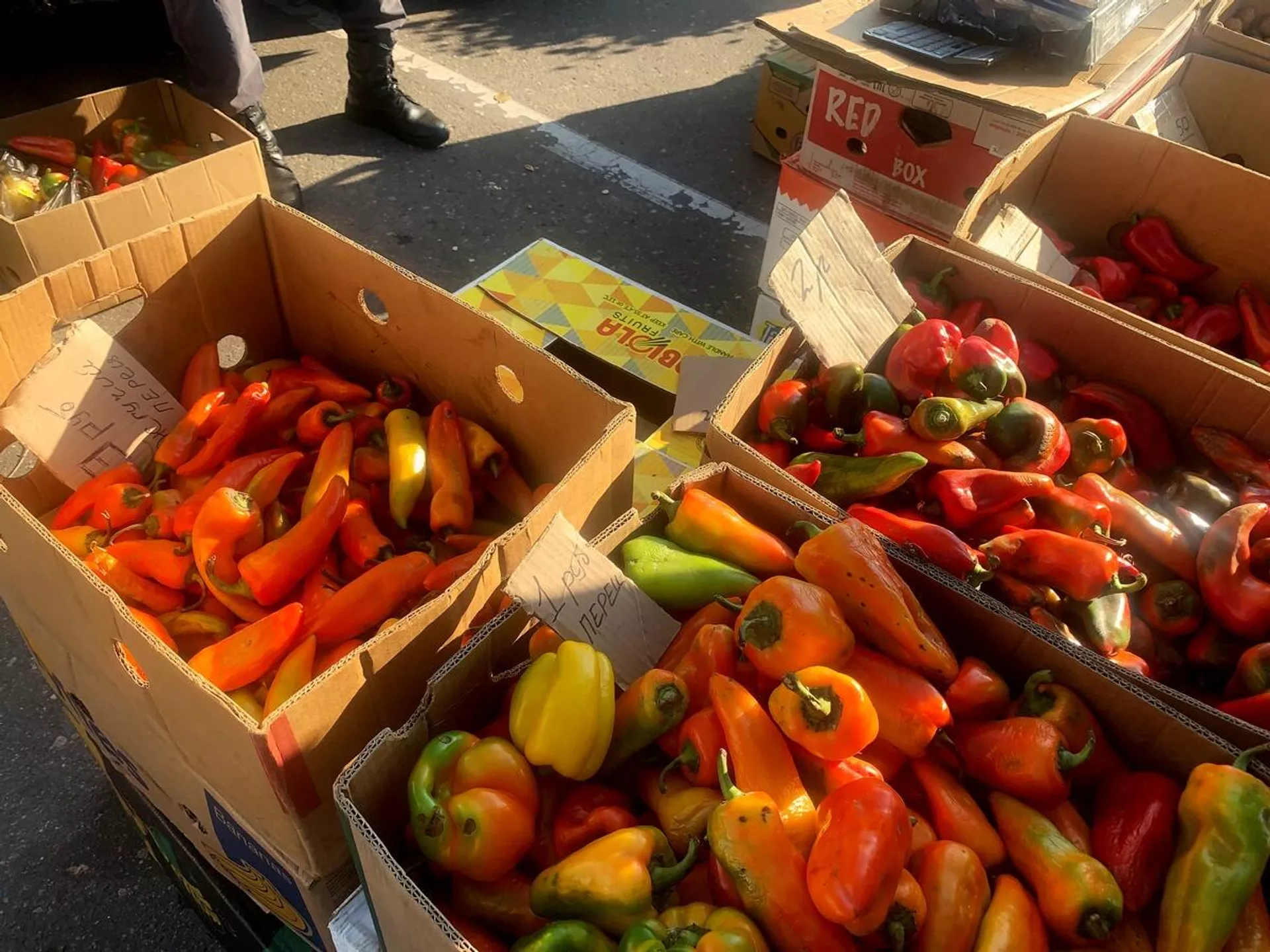 Сладкий перец весь сезон радовал приятными ценами, а томаты подорожали к концу сезона.  - Sputnik Беларусь, 1920, 01.11.2021