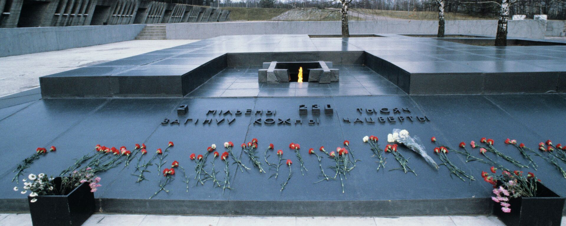 Факты о геноциде белорусов в шести томах: историк о шокирующем сборнике  - Sputnik Беларусь, 1920, 02.11.2021