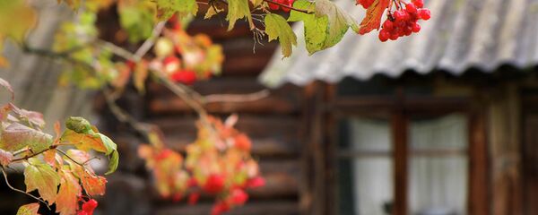 Які сёння дзень: 11 верасня 2025 года Які сёння дзень: 11 верасня 2025 года - Sputnik Беларусь