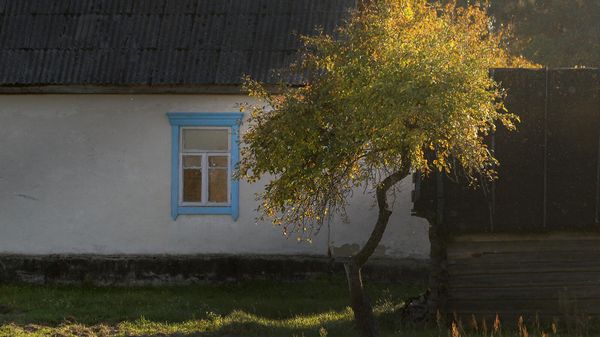 Осень в Беларуси - Sputnik Беларусь