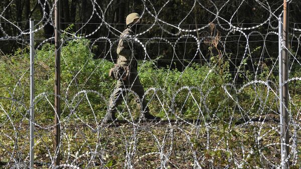 Как Военная доктрина Союзного государства изменит обстановку на границах? - Sputnik Беларусь
