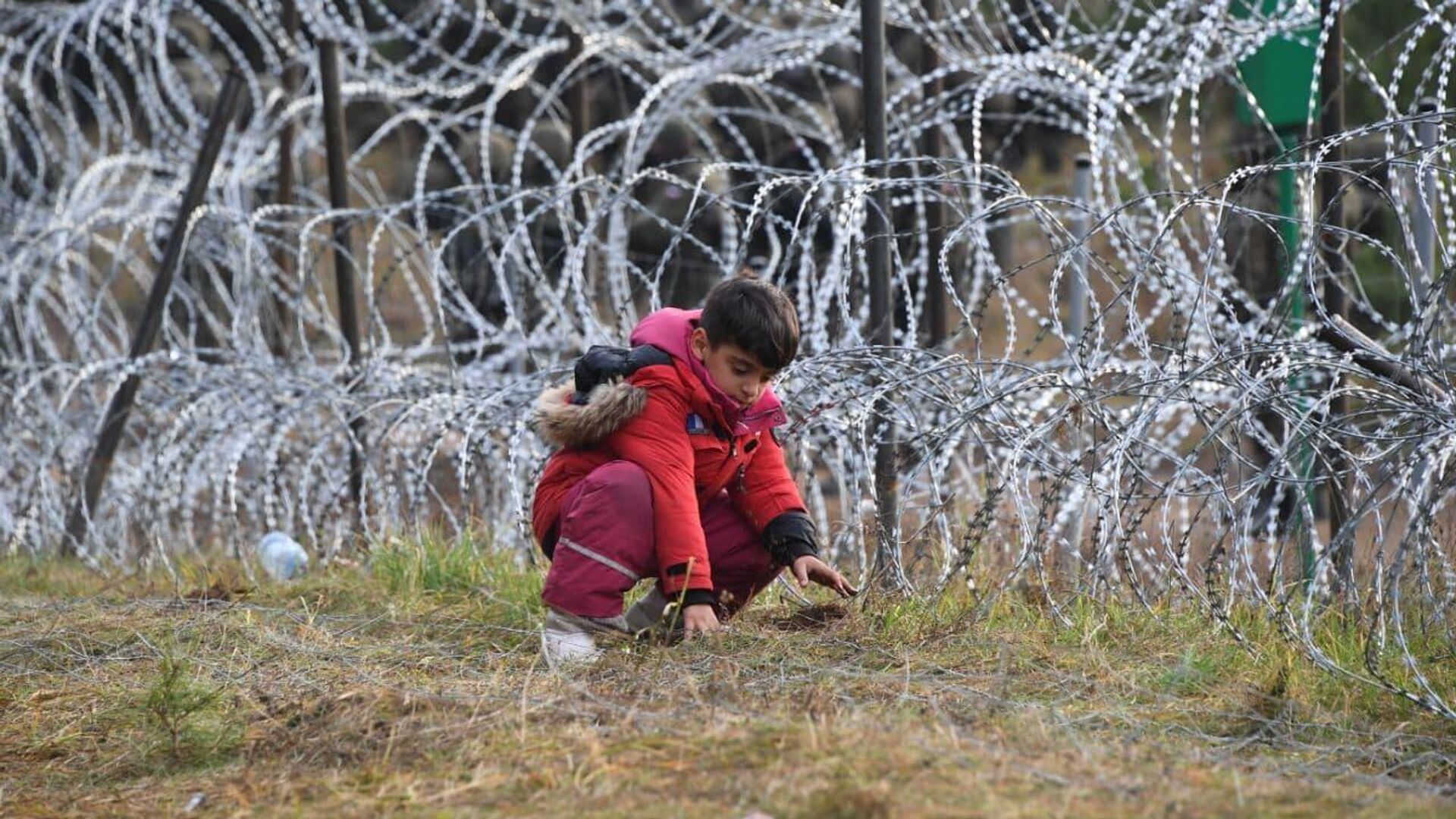 Польша продлила ограничения для беженцев на границе с Беларусью