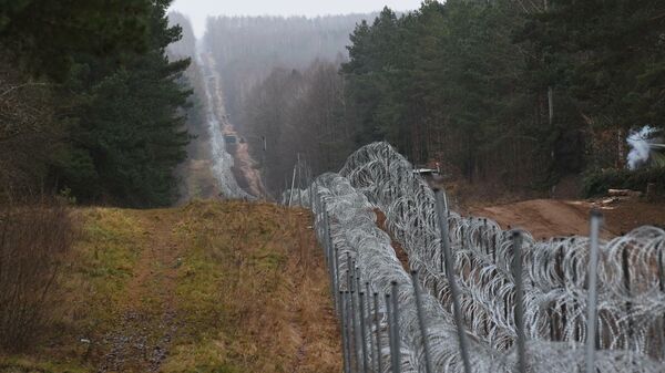 Забор на белорусско-польской границе - Sputnik Беларусь