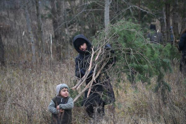 Мигранты отправились рубить белорусский лес для нового лагеря - Sputnik Беларусь