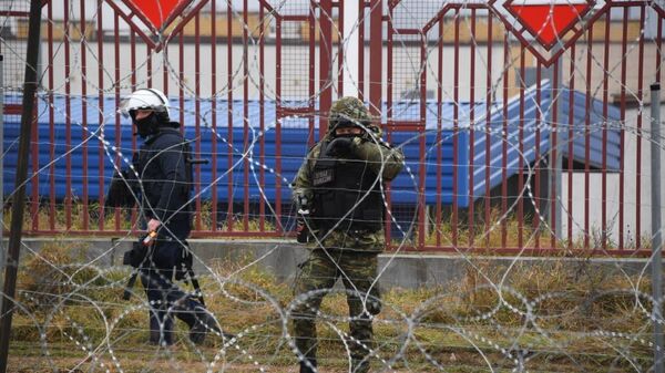 Мигранты забрасывают польских силовиков камнями и палками, те применили газ и водометы - Sputnik Беларусь