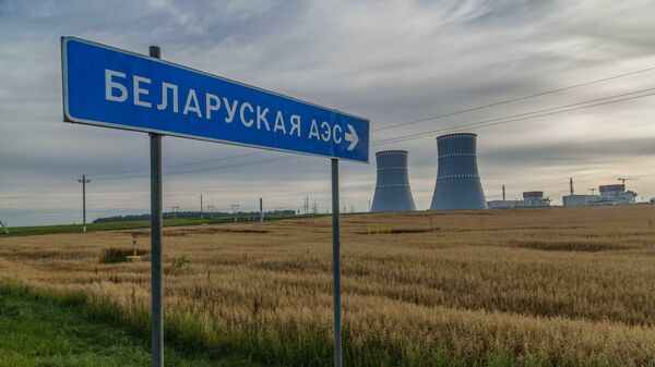 Литва опять поет ноты: что говорят литовцы о БелАЭС и ценах на электричество - Sputnik Беларусь