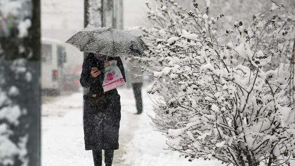 Женщина во время снегопада  - Sputnik Беларусь
