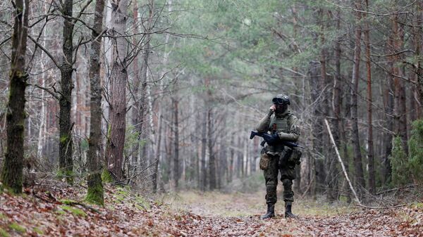Военный стоит на страже в лесу недалеко от польской деревни деревни Милейчице - Sputnik Беларусь
