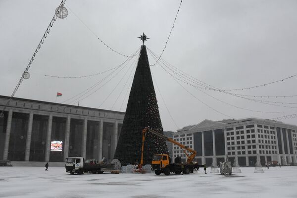 В Минске устанавливают Главную елку на Октябрьской площади - Sputnik Беларусь
