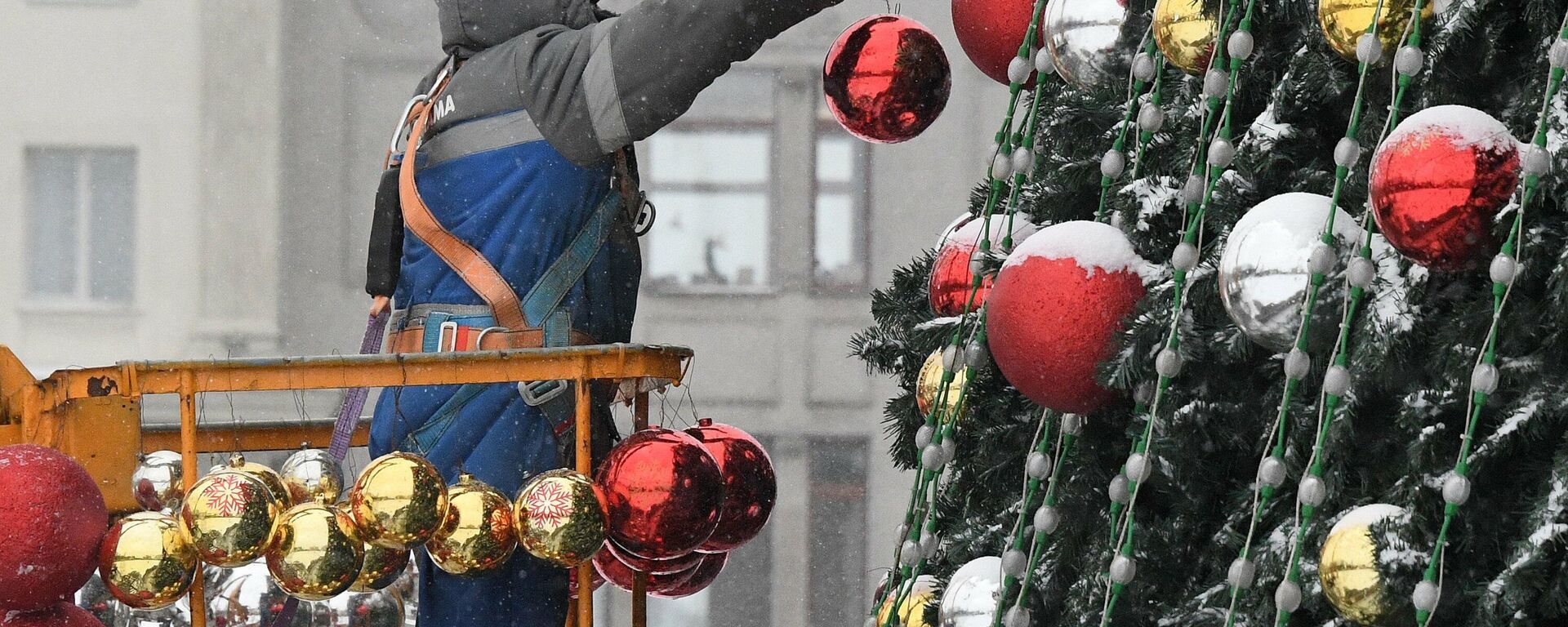 В Минске устанавливают Главную елку на Октябрьской площади - Sputnik Беларусь, 1920, 30.11.2021